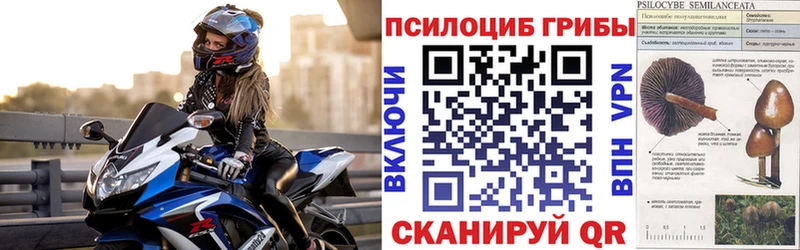 блэк спрут онион Красногорск Псилоцибиновые грибы мицелий