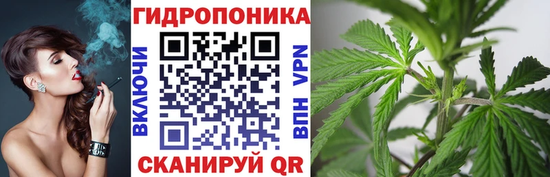 Бошки марихуана OG Kush  Красногорск 